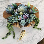 Artificial Succulents - 15 Pack - Premium Unpotted Succulent Plants Artificial - Realistic Textured Succulents - Fake Succulent Plants for DIY - Feaux Faux Cactus Plant Bulk