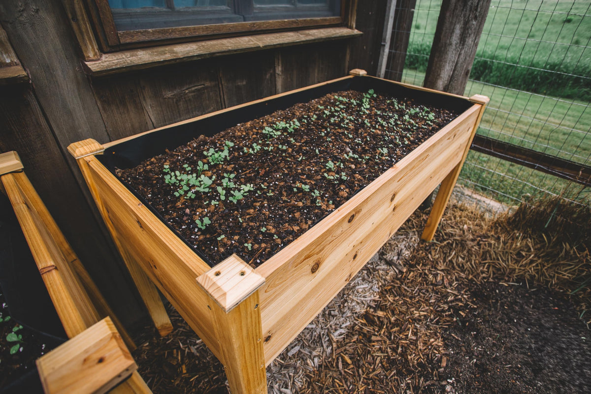 Backyard Expressions Wooden Raised Garden Bed|Elevated Planter Box with Included Bed Liner|Outdoor Vegetable, Flower, and Herb Gardening (4' x 2')