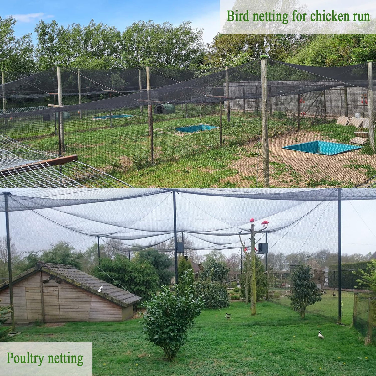 Bird Netting for Chicken Coop 25x100 Ft, 1" Mesh, Strong Woven Poultry Netting Roof Cover for Chicken Run, Heavy Duty Bird Net for Fruit Trees, Blueberry, Vegetables, Garden Protection