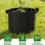 PHYEX 12-Pack 2 Gallon Grow Bags, Heavy Duty Fabric Pots with Handles, Reusable Plant Bags for Vegetable, Herbs & Flowers, BPA-Free, Breathable, Durable