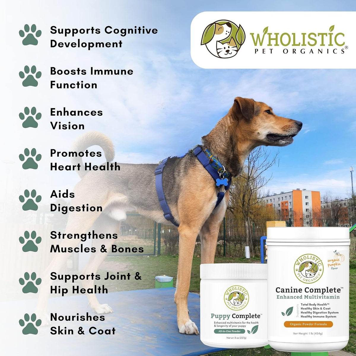 Wholistic Pet Organics Canine Complete - Dog Multivitamin Powder - 2 Lb - Daily Dog Vitamins and Supplements for Homemade Food - Immune System, Skin, Coat & Overall Health - Small and Large Breed