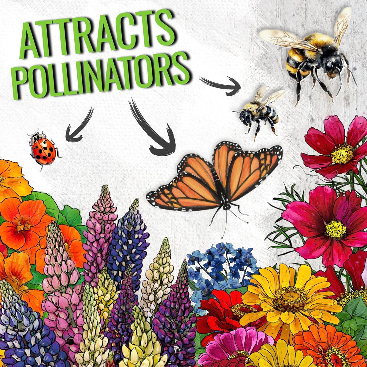 Seed Needs Wildflower Seeds Hummingbird and Butterfly Seed Mix | 10 Packs (1 Ounce Each) No Filler 23 Varieties Garden Seeds Annual & Perennial Species | Pollinator Attracting Flower Seed | Bulk