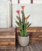 33 Inch Large Artificial Cactus with Magenta Flowers in Pot with Natural Gravel. Satin Finish Leaves with Real Look and Feel. Outdoor and Indoor Faux Plants.
