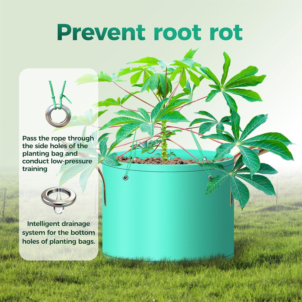 7 Pcs 5 Gallon Potato Grow Bag, PE Garden pots Plant Grow Bag with Branch-Binding Holes and Drain holefor for Vegetables, Strawberries, Flowers