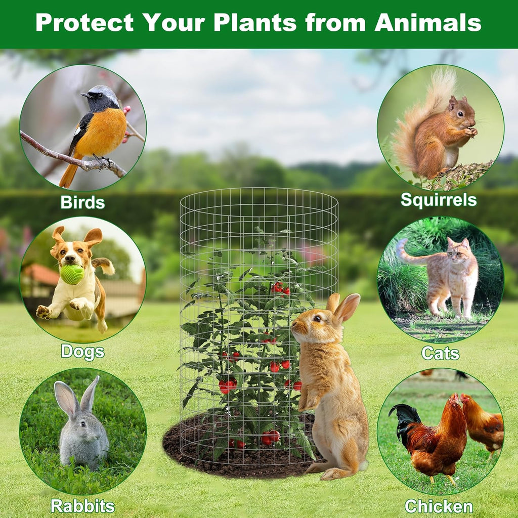 winemana 12 Set Garden Plant Protector Cage, 16x12 in Metal Wire Protectors for Plants, Protection Cages with Stakes & Nylon Ties, Animals Barrier to Keep Rabbit & Chicken Away from Flower Vegetables
