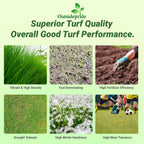 Outsidepride Royal TXD Bermuda Grass Seed Blend - 5 lbs. Warm Season, Fast Growing Turf Grass Seeds: Heat & Drought Tolerant, Ideal for Home Lawns & Sports Fields, Dense & Lush Green Coverage