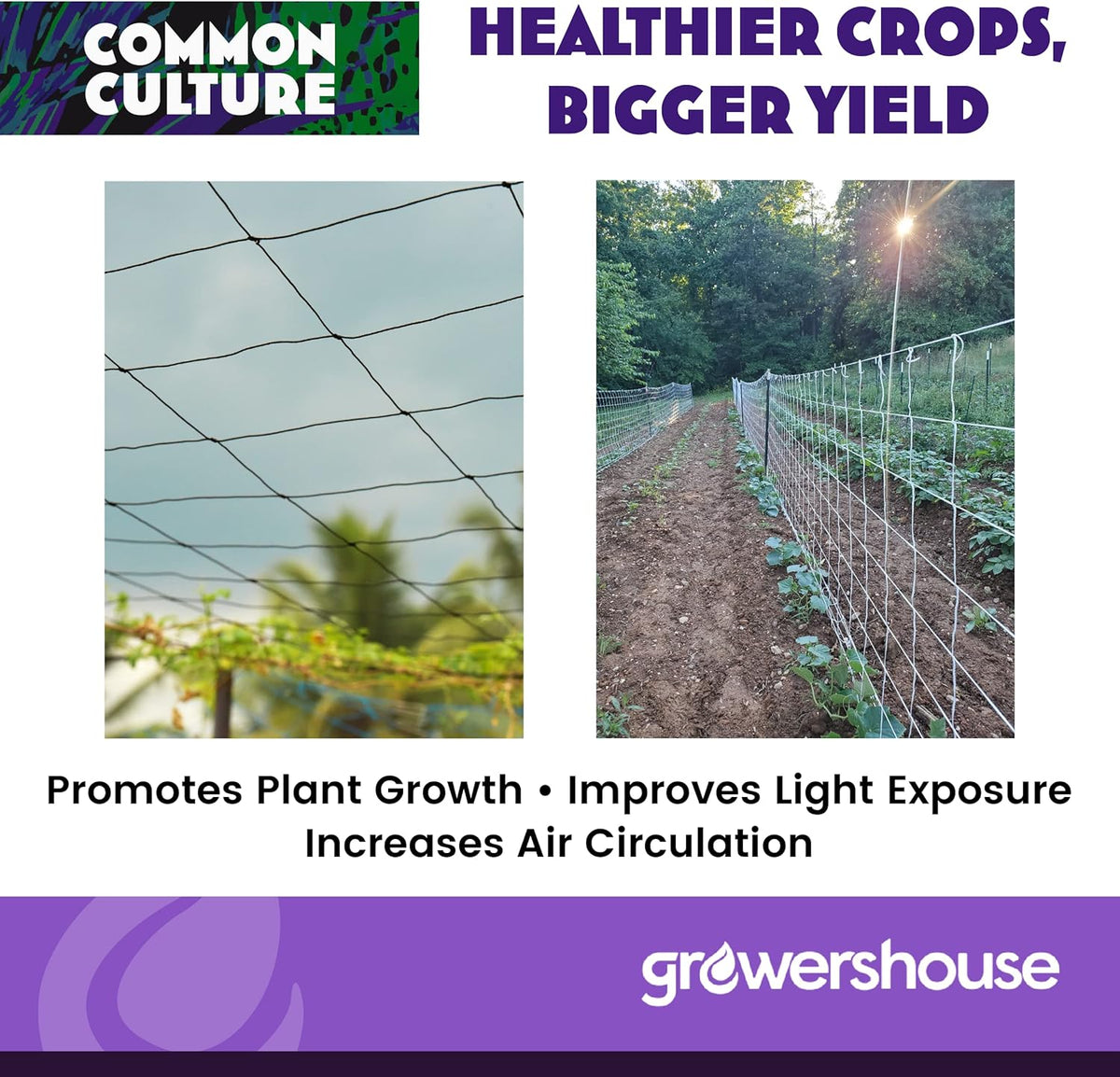 COMMON CULTURE Grow Strong Plant Trellis + Trojan Scissors - 6" Square Soft Mesh Nylon Trellis Netting Bulk Roll - Heavy-Duty Garden Netting for Plants - 5" x 350" - 2 Rolls