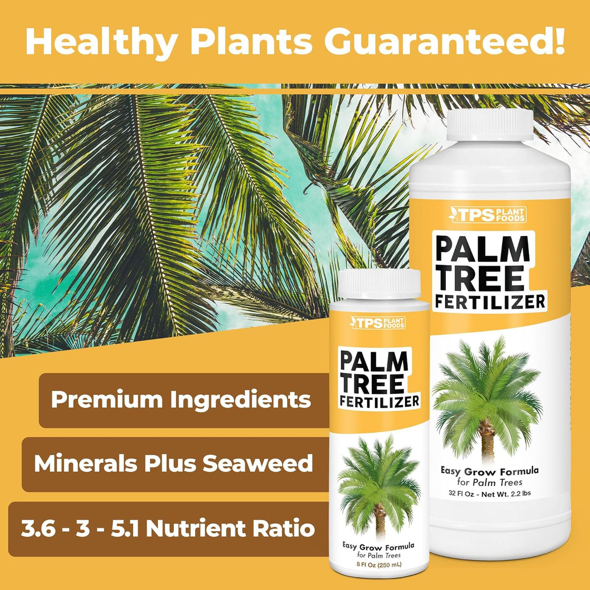 Palm Tree Fertilizer for All Palms and Ferns, Liquid Plant Food, 1 Gallon (128 oz)