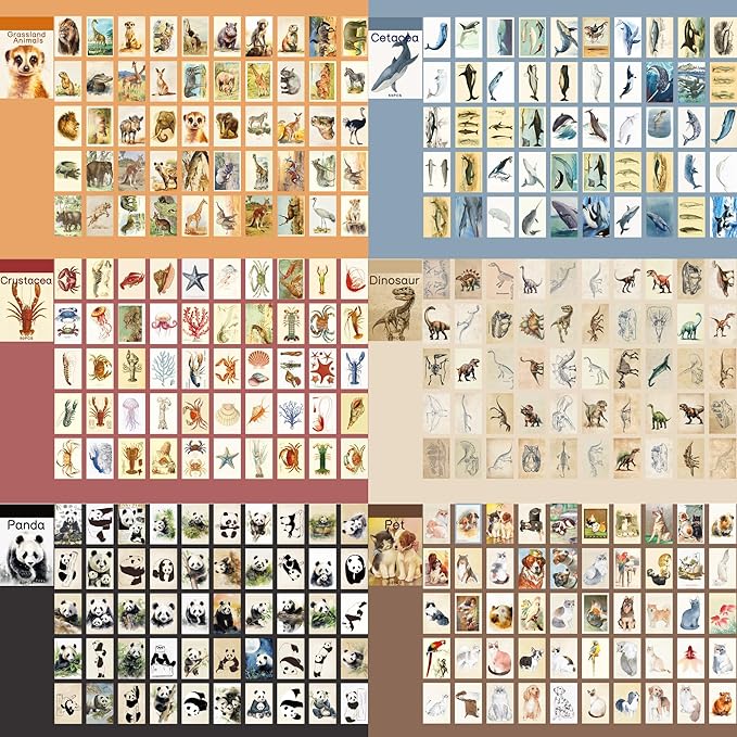 12 Sets 600 Sheets Washi Stickers Book for Journaling, Jungle Animal Sticker, Wild Zoo Sea Animal Aesthetic Scrapbook Dinosaur Sticker Set for Bullet Journal Card Craft Gift Rewards for Kid Notebook