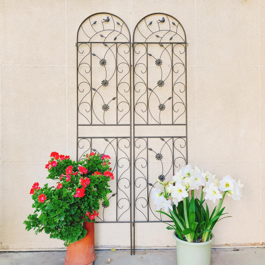 2 Pack Metal Garden Trellis 86.7" Tall Outdoor Climbing Plant Support for Roses, Flowers, Rustproof Durable Black Galvanized Tube, Lawn Garden Fence Decor Screen (2, Brown-86.7" H)