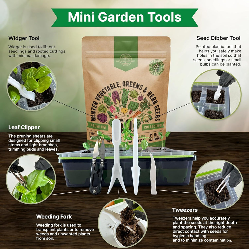 50 Winter Vegetable Garden Seeds Variety Pack - 43,450+ Non-GMO Heirloom Seeds for Outdoors & Indoor Home Gardening, Including Kohlrabi, Lettuce, Radish, Onion, Choy, Spinach, Cauliflower, Collards