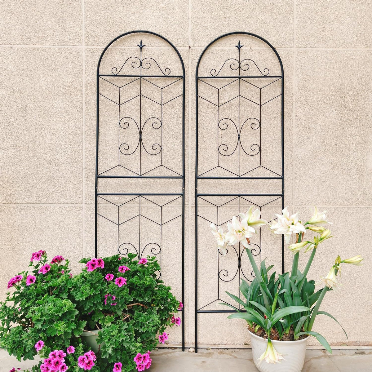 2 Pack 71x20in Garden Trellises with Black Metal Coating, Trellis for Climbing Plants Outdoor, Roses, Vines, Flowers, and Vegetables.