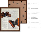 Poster Master Dictionary Art Poster - Butterflies Print - Moth Art - Butterfly Art - Insect Art - Gift for Men, Women & Animal Lover - Chic Decor for Living Room or Bedroom, 16x20 Brown Framed