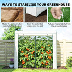 Outsunny Mini Greenhouse, Portable Greenhouse with Roll-Up Door and 2 Mesh Windows, Small Green House with PE Cover for Garden Patio Lawn, 78.7" x 29.5" x 74", White