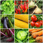 The Old Farmer's Almanac Organic Tomato & Vegetable Plant Food Fertilizer
