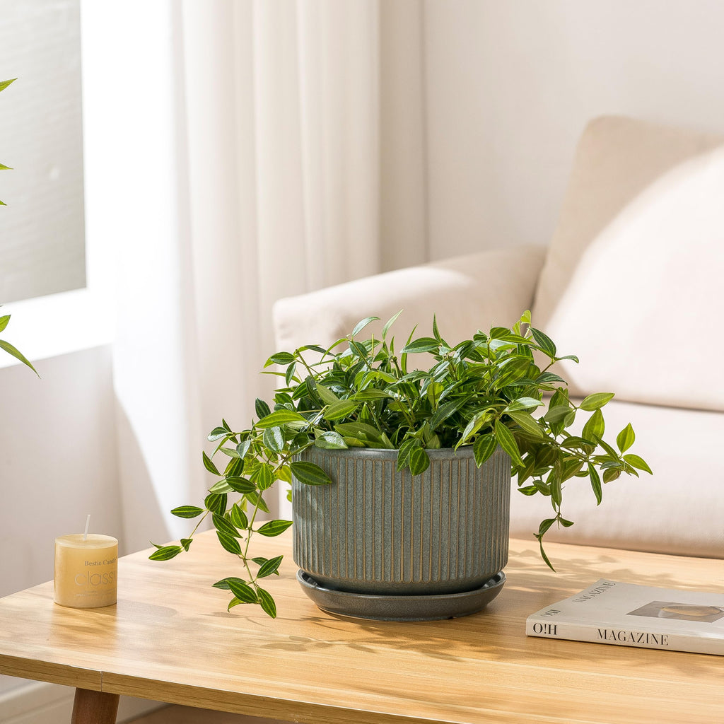 SURE YUESI Ceramic Plant Pots Set of 3, Indoor Outdoor Planters with Drainage Hole and Saucer, Ceramic Flower Pots for Indoor Plants, 4.3+5.5+6.8 Inch, Home, Garden, Patio and Office, Matte Green