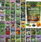 Ultimate Medicinal Herb Seeds Variety Pack – 36 Heirloom Non-GMO Healing Herbs for Planting | Wellness & Apothecary Garden Kit for Herbalists, Homesteaders – Survival Garden Seeds (28,000+)