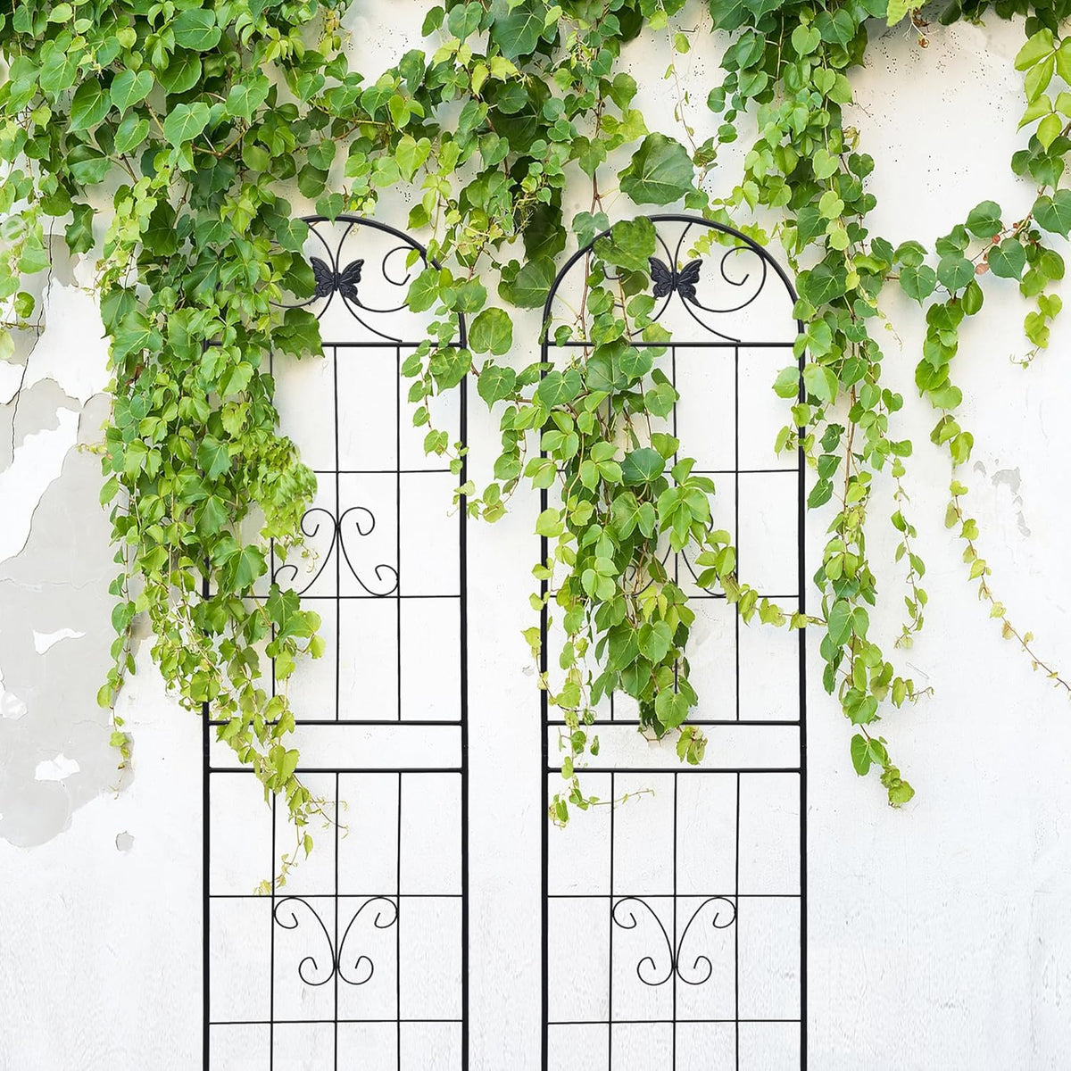4 Pack Garden Trellises with Black Metal Coating, Trellis for Climbing Plants Outdoor, Roses, Vegetables, Vines, Cucumbers-19.7×86.7 inches.