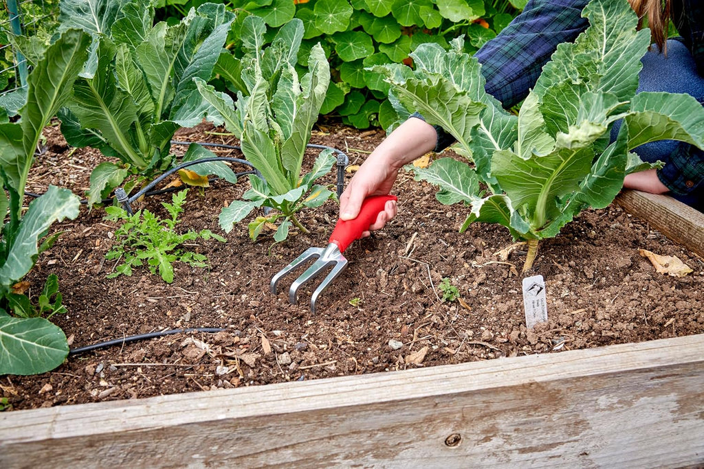 Corona CT 3030I Comfort Cultivator