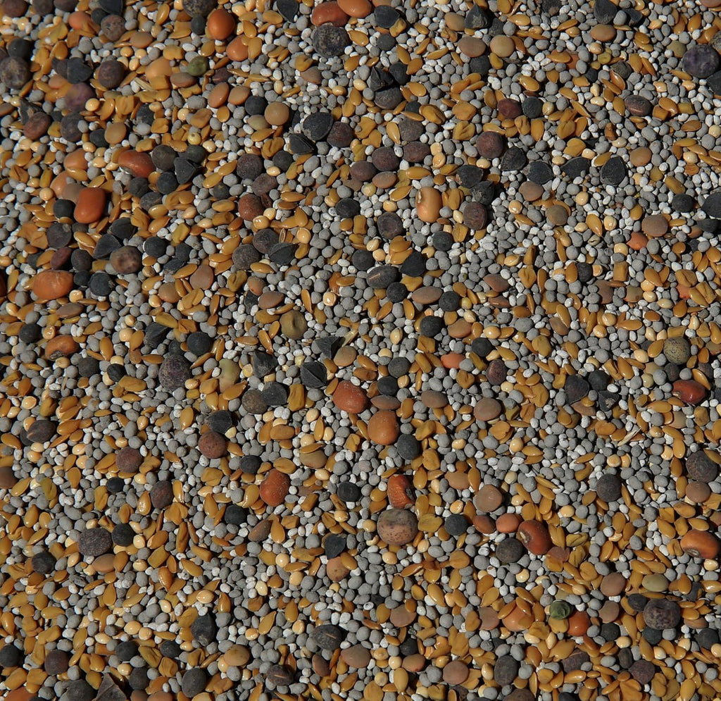 No-Till Cover Crop 13-Seed Mix (1 lb. Bag): [50% Clovers Plus Fenugreek, Vetch, Flax, Cowpeas, Buckwheat, Forage Peas, Millet, Lentils, Crimson Clover, Sweet Yellow, White Clover, Medium Red Clover]