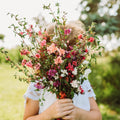 Mountain Garland Mix (Elegant Clarkia) - 250 Seeds - Beautiful Pink, Purple & White Flowers, Non-GMO Heirloom Clarkia Seeds for Planting in The Home Garden, Thresh Seed Company