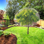 8.2 x 6.5 Feet Large Fruit Tree Netting, Insect Bird Barrier Tree Net with Drawstring, Garden Bird Netting Plant Cover for Protect Plant Fruit Flower from Insect Bird