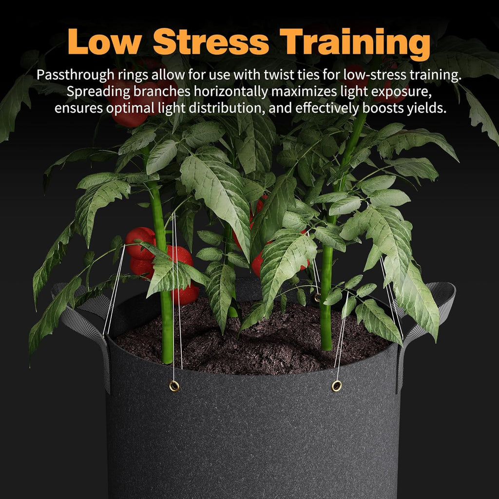 Self-Watering Grow Bags, 5-Pack 5 Gallon 420G Thick Nonwoven Fabric Pots with Reinforced Handles and Multi-Purpose Rings, for Low Stress Plant Training Fruits, Vegetables,and Flowers