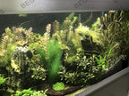 BEGONDIS Aquarium Decorations 5Pcs Fish Tank Artificial Green Water Plants Made of Silk Fabrics Plastic