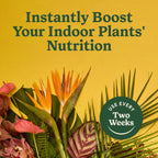 Miracle-Gro Indoor Plant Food for All Plants, 8 fl. oz. (2-Pack)