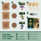 Garden Republic Bonsai Tree Kit - Grow 3 Mini Bonsai Trees, Indoor Plant Growing - Starter Kit with Seeds, Soil, Planters & Shears, Gardening Gifts for Women, Fathers Day Gardening Gifts