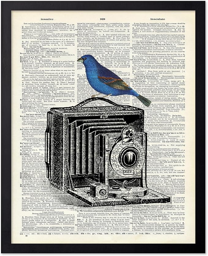 Poster Master Dictionary Art Poster - Antique Camera Print - Bird Art - Photography Art - Gift for Men, Women & Photographer - Chic Decor for Living Room, Bedroom or Office, 8x10 Black Framed