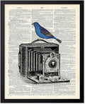 Poster Master Dictionary Art Poster - Antique Camera Print - Bird Art - Photography Art - Gift for Men, Women & Photographer - Chic Decor for Living Room, Bedroom or Office, 8x10 Black Framed