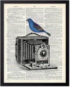 Poster Master Dictionary Art Poster - Antique Camera Print - Bird Art - Photography Art - Gift for Men, Women & Photographer - Chic Decor for Living Room, Bedroom or Office, 8x10 Black Framed