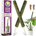 DUSPRO Stackable Mesh Moss Pole for Plants Monstera Potted Plant Stakes for Indoor Plants Extendable Plant Pole Moss Sticks for Plants Climbing Vine Supporting Monstera Trellis 2 Pcs 22''