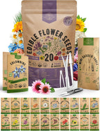 Organo Republic 20 Edible Flower Seeds Variety Pack- Indoor/Outdoor. 7000+ Non-GMO Heirloom: Borage, Bergamot, Nasturtium, Chives, Cape Daisy, Hyssop, Zinnia Seeds & More