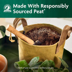 Miracle-Gro Organic Indoor Potting Mix, Protects Against Over and Under Watering, for Indoor Container Plants, Houseplants and Starter Plants, OMRI Listed, 16 qt., 2-Pack