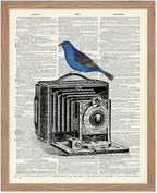 Poster Master Dictionary Art Poster - Antique Camera Print - Bird Art - Photography Art - Gift for Men, Women & Photographer - Chic Decor for Living Room, Bedroom or Office, 11x14 Beige Framed