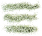 6 Pack Thick Colombian Spanish Moss Live Strands with Wire Hook - Tillandsia Usneiodes - Live Tillandsia Succulent House Plants - Home and Garden Decor - Easy Care Indoor and Outdoor Plants