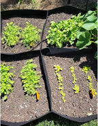 CJGQ Fabric Raised Garden Bed, 2Pack 8 Grids Plant Grow Bags, 3x6FT Breathable Planter Raised Beds for Growing Vegetables Potatoes Flowers, Rectangle Planting Container for Outdoor Gardening