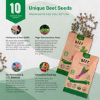 Organo Republic 10 Rare Beet Seeds Variety Pack for Planting Indoor & Outdoors 1625+ Heirloom Non-GMO Bulk Beets Gardening Seeds: Chioggia, Detroit Dark Red, Sugar, Cylindra, Bulls Blood, White Albino