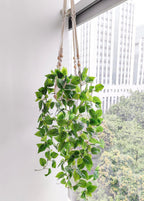 2 Packs Fake Hanging Plant with Pots for Home Decor Artificial Hanging Basket Plants Macrame Plant Hanger with Faux Vines Greenery for Bedroom Bathroom Room Wall Boho Decor Indoor Outdoor
