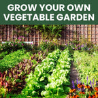 35 Vegetable Seed Packets | Survival Variety Pack | 2025 Season | Individually Packed Vegetables, Herbs and Fruits | Emergency Seed Vault for Doomsday Prepping | by Family Sown