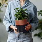 6.5 Inch Self-Watering Planter Pot with Terracotta Insert, Deep Water Reservoir, and Ceramic-Alike BPA-Free Plastic Pot for Plant, Modern Planter for Houseplants, Black/Terracotta, 53-B-S-5