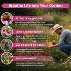 Organo Republic Echinacea Seeds Pack 1 oz - Over 9,300 Non-GMO Heirloom Echinacea Seeds for Planting, Perennial Flowers in Individual Packet, Coneflower for Planting Indoor & Outdoor Garden