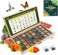 Lush&Dew Year-Round USDA Zone 9 Seed Bank, Gift for Mom Dad, 32 Varieties Non-GMO Heirloom Seeds of Vegetables Herbs, Gardening Gifts for Women Men, Survival Kit for Raised Garden Bed, Greenhouse