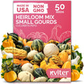 KVITER 50 Small Gourd Seeds Mix (Cucurbita Pepo) – Ornamental Fall Decor Gourds, Non GMO & Organic – Perfect Heirloom Seeds for Planting Decorative Gourds in Vegetable Garden