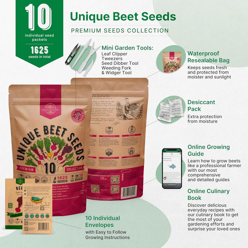 Organo Republic 10 Rare Beet Seeds Variety Pack for Planting Indoor & Outdoors 1625+ Heirloom Non-GMO Bulk Beets Gardening Seeds: Chioggia, Detroit Dark Red, Sugar, Cylindra, Bulls Blood, White Albino