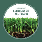Pennington Kentucky 31 Tall Fescue Penkoted Grass Seed 3 lb