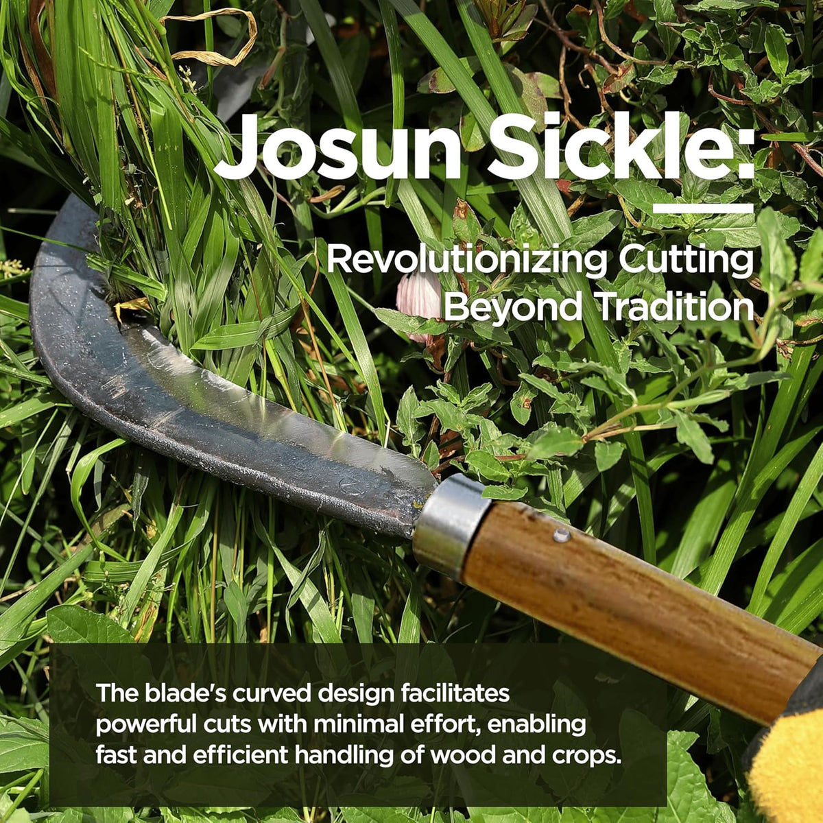 Josun Sickle Left-Handed - Hand-Forged Handmade Korean Weeding and Brush Clearing Tool with Razor-Sharp Blade and Chestnut Wood Handle