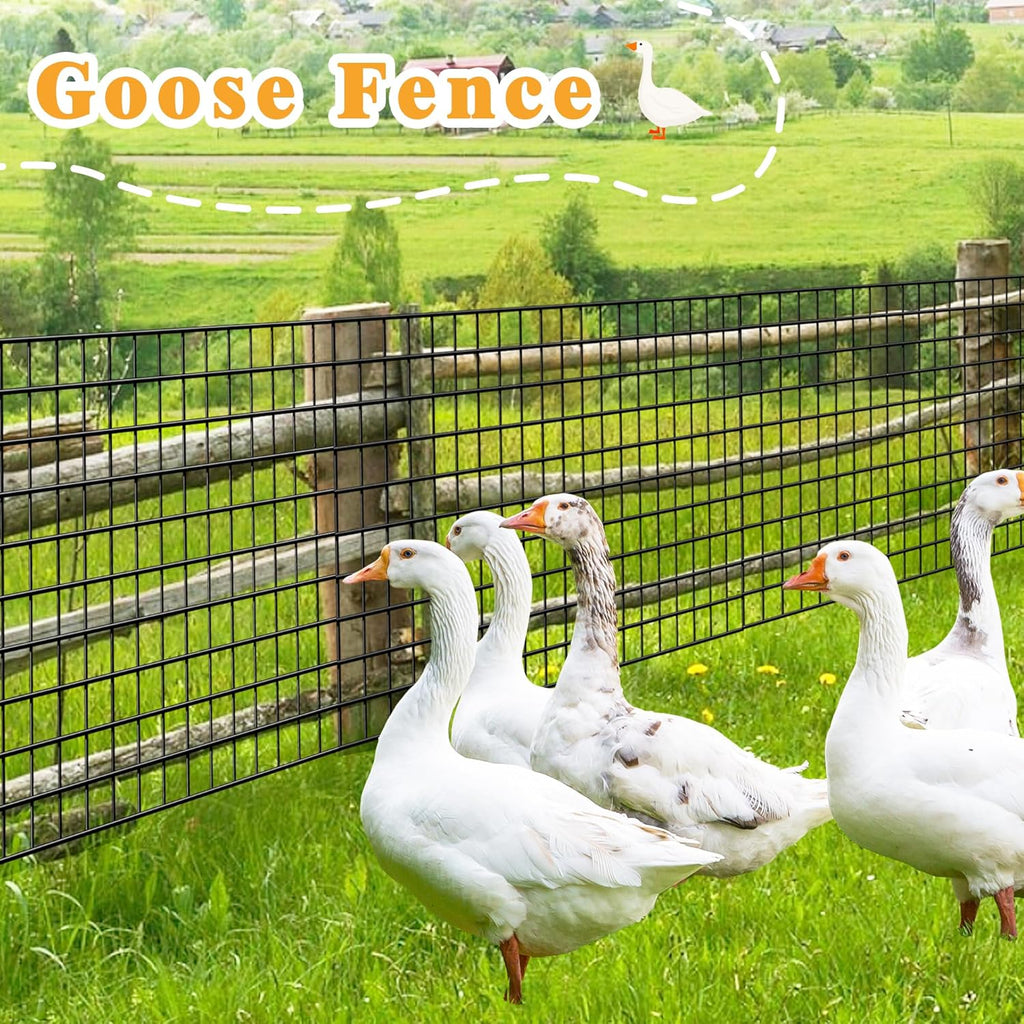 Black Metal Garden Fence, 48inch(H) x 100ft(L), 2 inch x 4 inch,12.5GA 2/3/4/5/6 Ft Tall Chicken Wire PVC Coated Welded Wire Mesh Roll for Dogs Border Yard Vegetable Plant Protection Poultry Netting